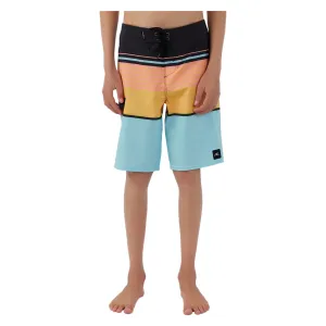 Junior Lennox Stripe 18" Boardshorts